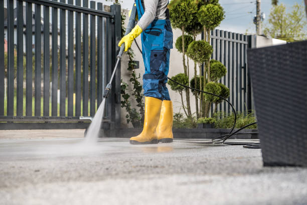 Best Building Exterior Washing  in Altamont, NY